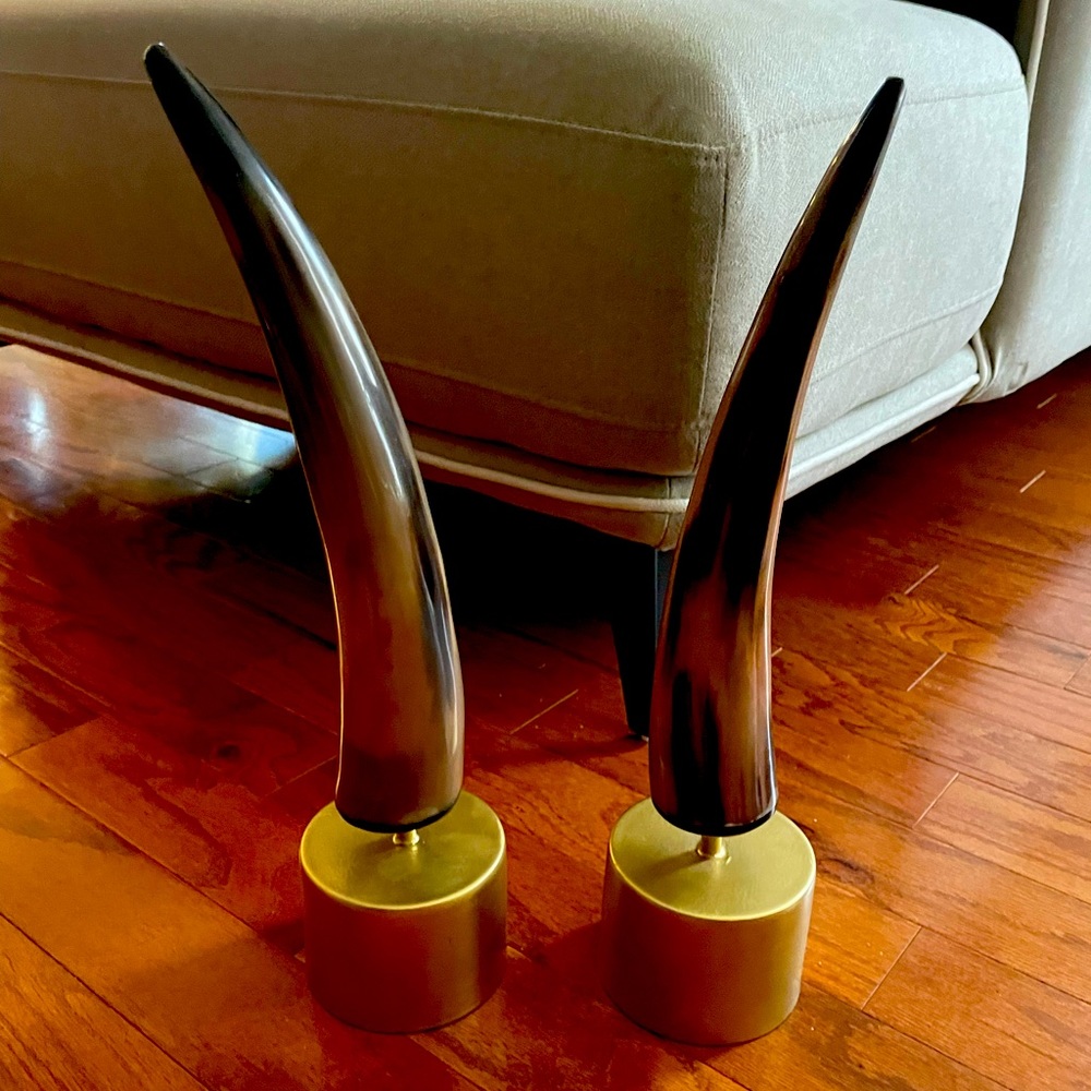 Set of Bull Horns